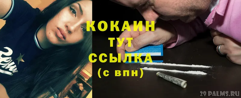 купить   Нелидово  Cocaine Fish Scale 